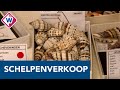 Museum stopt met schelpenverkoop: 'De verkoop te vergelijken met de verkoop van bont'