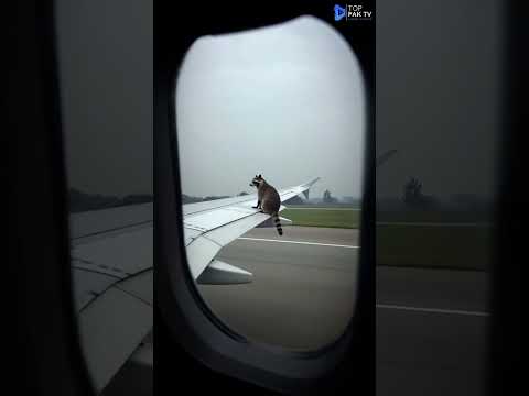 Enjoying #shorts #news