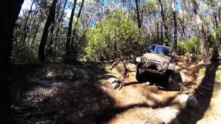 preview picture of video 'Cobaw State Forest 4WD'