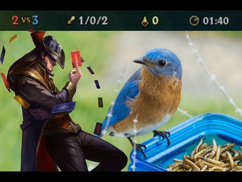 Early Game Madness (League of Legends)