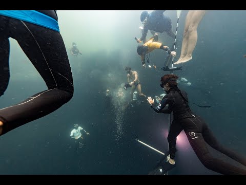 Vertical Blue 2022: Celebration of Carla Hanson