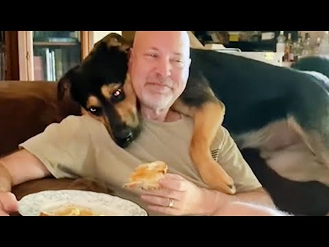 Quand votre chien est littéralement le roi de la maison