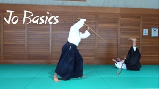 Basic Jo Principles - Introduction to Chiba Sensei's Weapons System #7