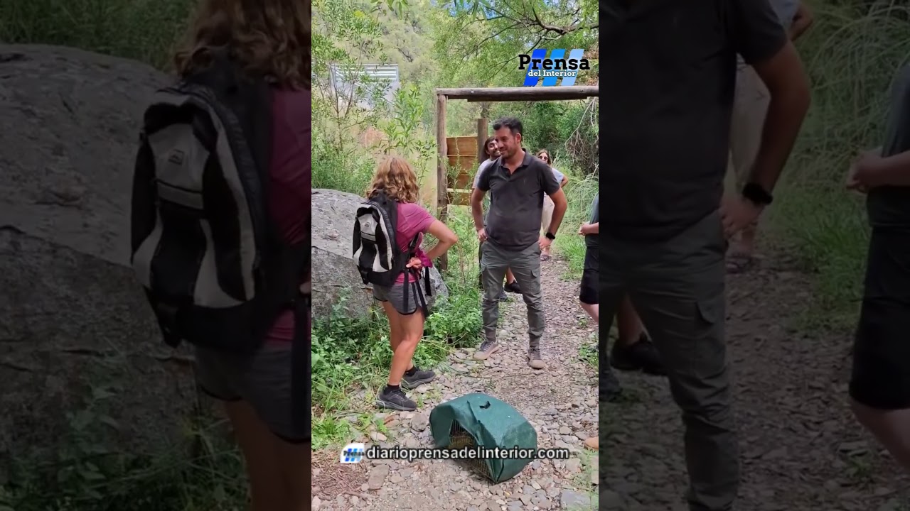 SAN LUIS: VER VOLAR LIBRES OTRA VEZ A NUESTRAS AVES RECUPERADAS