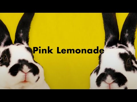 AmPm / Pink Lemonade feat.The Attire (Lyric Video)