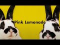 AmPm Pink Lemonade Feat The Attire Lyric Video