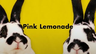 Pink Lemonade - Music Video