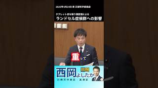 ランドセル症候群への影響　#西岡よしたか #国民民主党