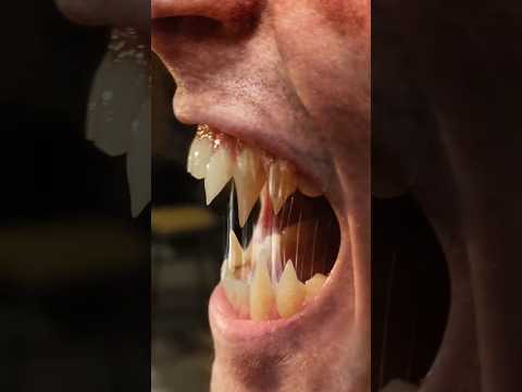 Оборотень атакует съемочную площадку «Человека-волка»