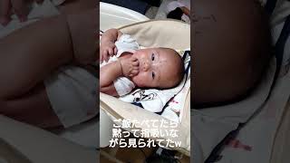 黙ってじぃーっと見てるの可愛すぎるw