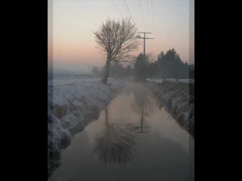 download lagu mp3 mp4 Aria Haze, download mp3 Aria Haze free download, download mp3 Aria Haze