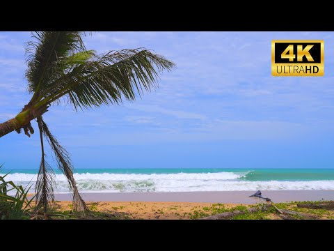 Relaxing Ocean Sounds in 4K: Soothing Beach Waves for Sleep and Relaxation | ASMR