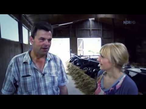 REWE DIE LEBENSMITTELLÜGE ✔ DOKU PLAYLIST