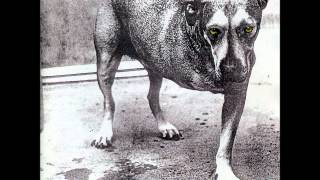 Heaven Beside You - Alice in Chains