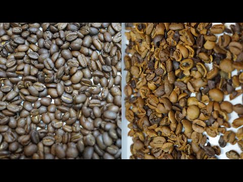 Roasted Coffee Beans Sorting---ANYSORT SMART-series for sorting broken and burnt coffee beans