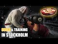 Sushi and Training in Stockholm Sweden | Feat Ashkan Aghili