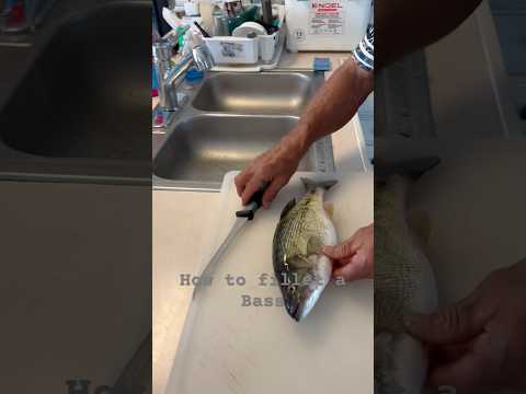 How to fillet a Bass #fishing #fishingvacation #bassfishing #bassfish #filletingfish