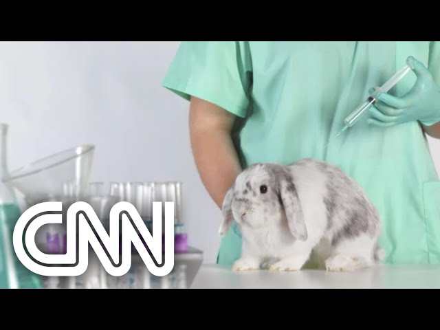 Uso de animais em testes de cosméticos é proibido pelo governo | VISÃO CNN