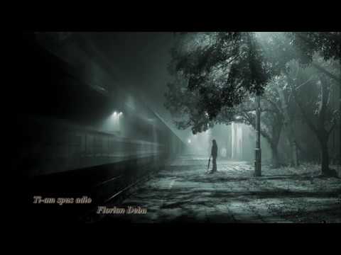 Ti- am spus adio -  Florian Debu