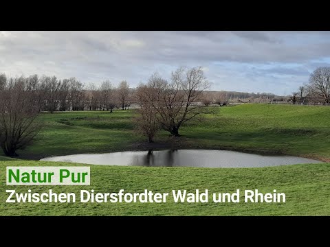 Natur Pur - Diersfordter Wald - Rhein