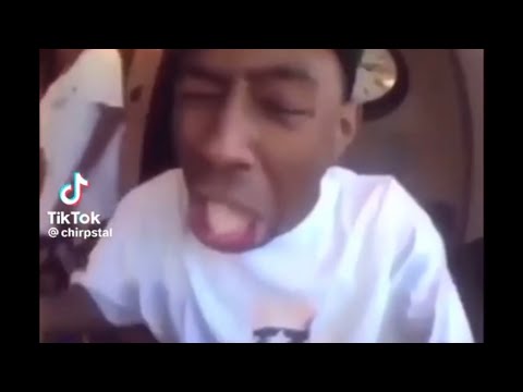 Clean TikToks for People with broken humor V4