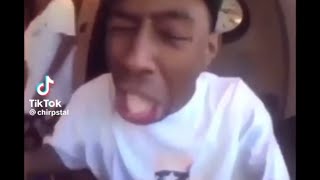 Clean TikToks for People with broken humor V4