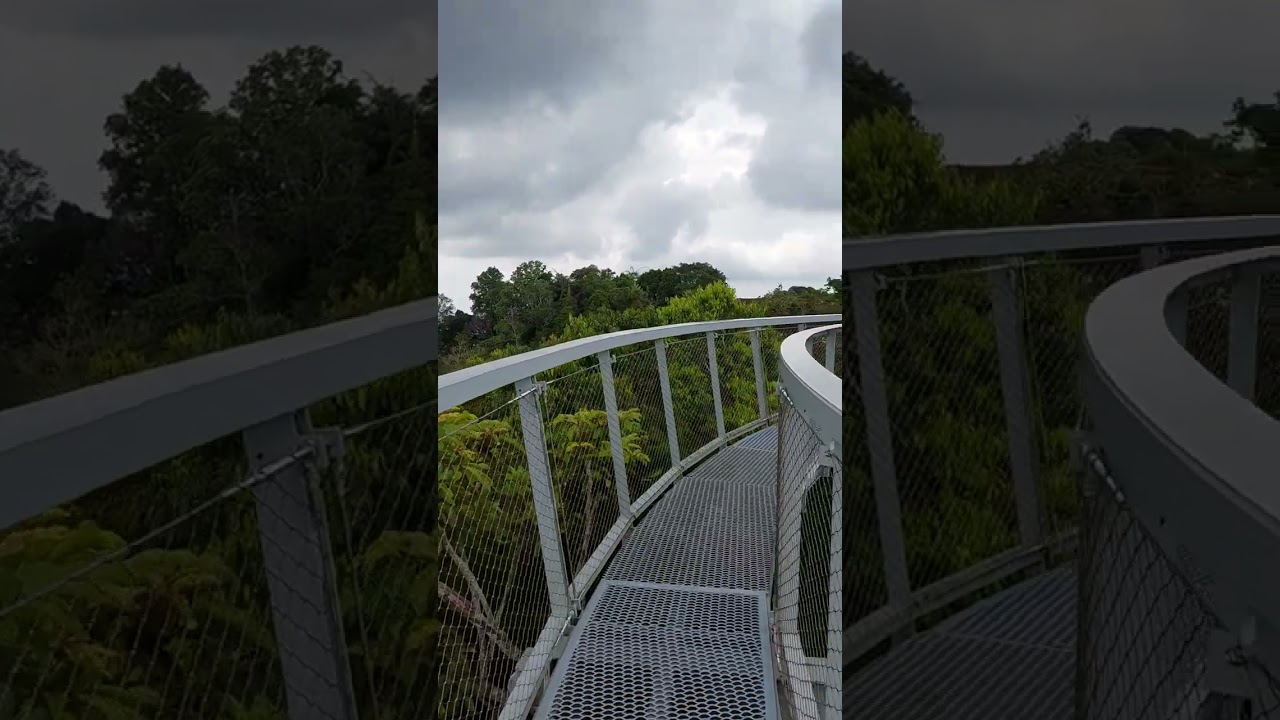 YouTube Short thumbnail