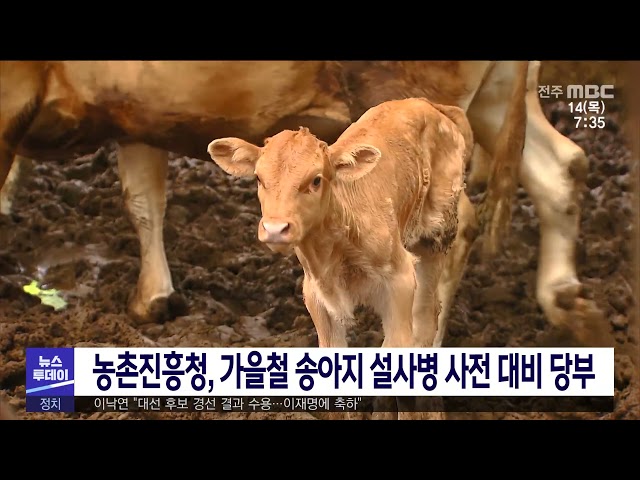 농촌진흥청, 가을철 송아지 설사병 사전 대비 당부