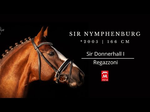 SIR NYMPHENBURG I *2005 v. Sir Donnerhall I - Regazzoni