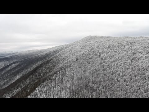 video 5