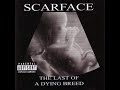 Scarface - Conspiracy Theory