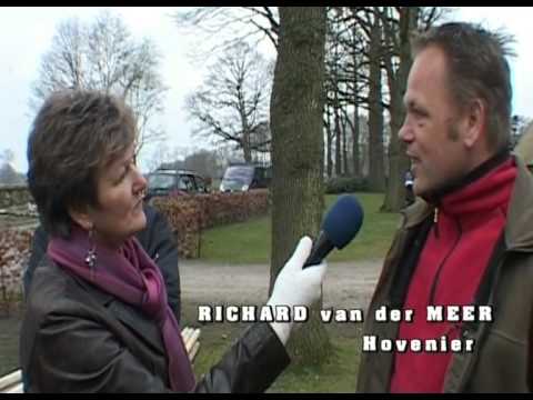 Special: "Stroe in het groen"