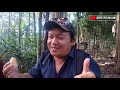 LANJUTTAN VIDEO SEBELUMNYA PANEN MADU HASIL TERNAK