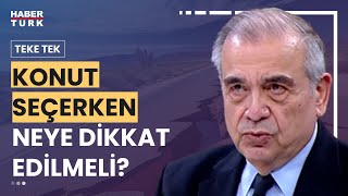 Deprem riski yüksek şehirlerde yaşayanlar ne yapmalı? Prof. Dr. Mustafa Erdik ya