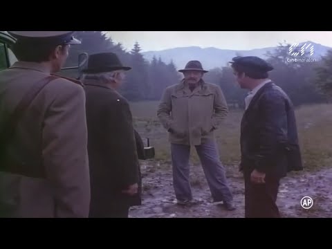 Acțiunea Autobuzul (1978)