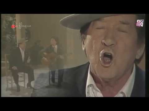 Seguiriya. Juan Valderrama. 1990