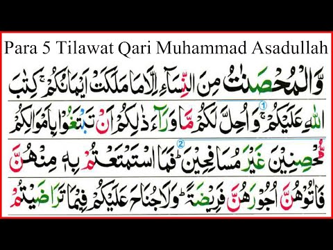 Juz 5 Complete Tilawat || Qari Muhammad Asadullah With Tajweed || Shifa UL Quran Academy