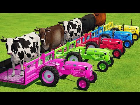 TRANSPORTING COWS WITH COLORED ISEKI TRACTORS & MAN TRUCKS - Farming Simulator 22