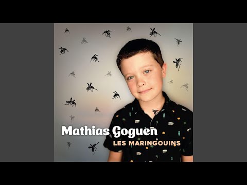 Les Maringouins