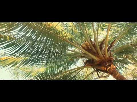 IRIE VIBES feat LEF-T & I-VAN