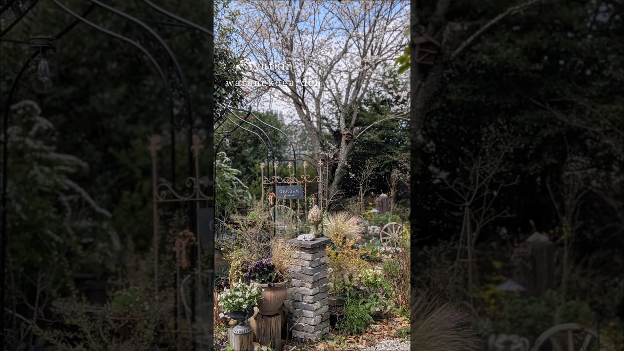 【2026.4】魔法の季節