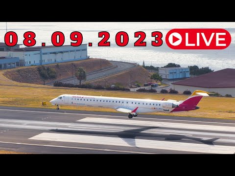 LIVE From Madeira Island Airport 08.09.2023