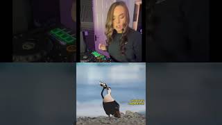 Download lagu What a mashuuuup 🙌 #club #dj #music #nightlife mp3