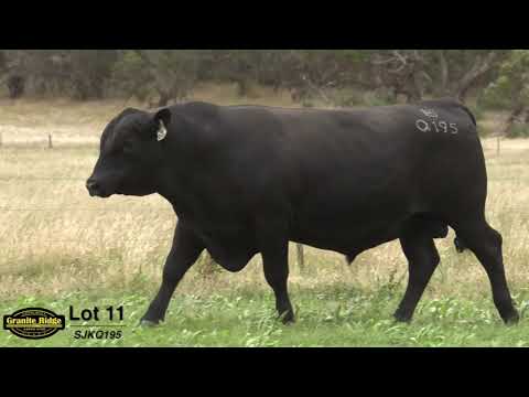 GRANITE RIDGE QUICKSILVER Q195