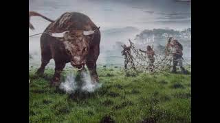 The story of Donn Cúailnge