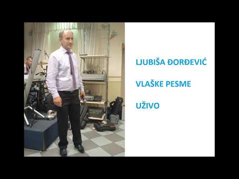 LJUBISA DJORDJEVIC - VLASKE PESME UZIVO (VlaskiMelos)