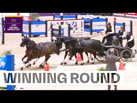 Boyd Exell is the Master of Faster! | FEI Driving World Cup™ 2023/24 Lyon