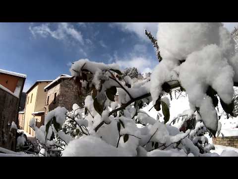 Mr.Robin and the Snow