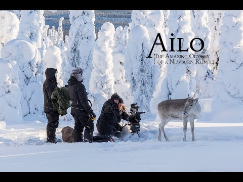Ailo's Journey - Behind-the-Scenes Interviews with Reindeer Herder & Animal Trainer