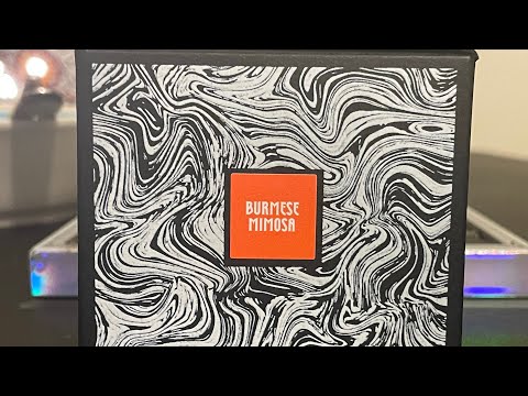 Burmese Mimosa by Garcia handpicked